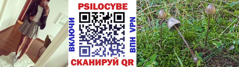 как найти закладки  Унеча  Псилоцибиновые грибы мицелий 